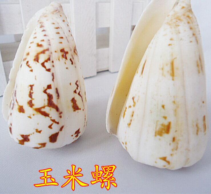 QQ图片20150806194610