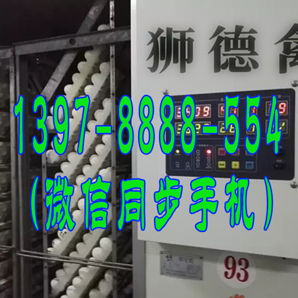 南京鹅苗孵化场 番鸭苗 四川黑猪品种