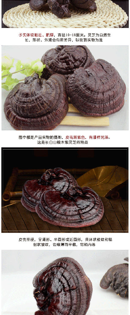 长白山**生灵芝长白山灵芝晚上能灵芝