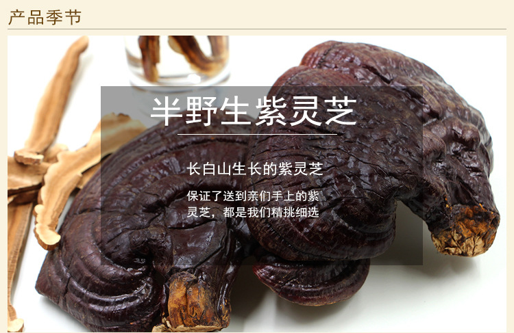 灵芝孩子能吃长白山灵芝生产供应商灵芝个品好
