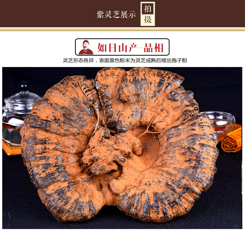 灵芝吃几次见效长白山灵芝 **灵芝的功用