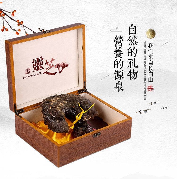 灵芝需要见效吉林长白山灵芝批发灵芝的水温