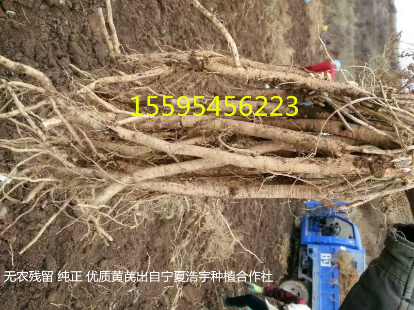 mmexport1446544359154_副本