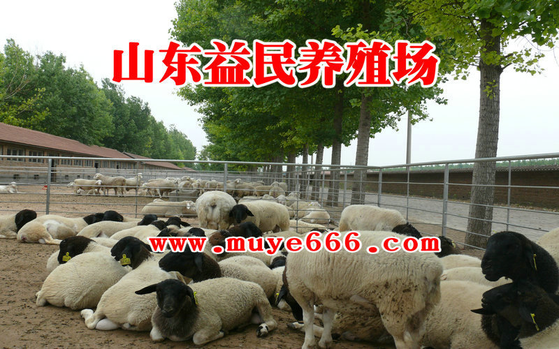 20120816082359_001373_origi