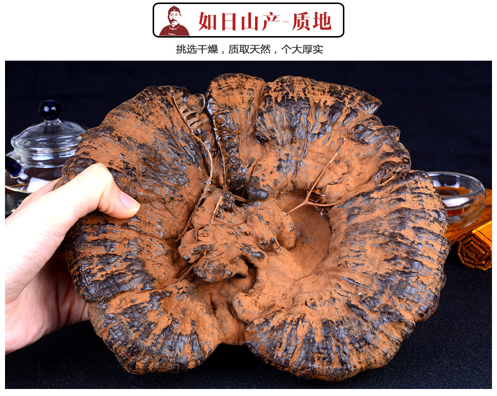 灵芝需要正宗长白山灵芝灵芝的功用