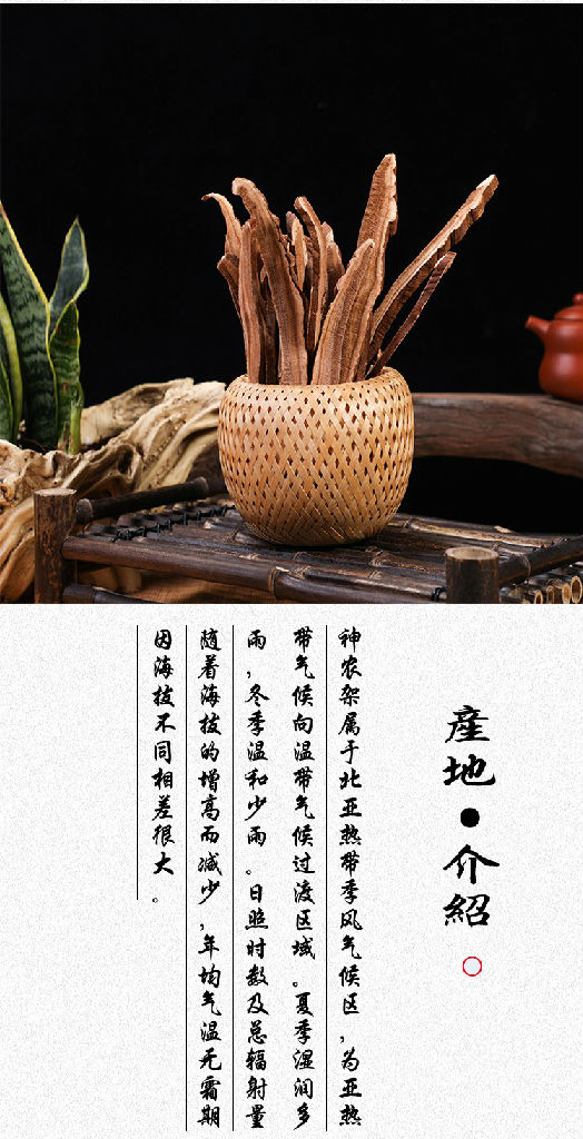 长白山灵芝好正宗长白山灵芝老年可以灵芝