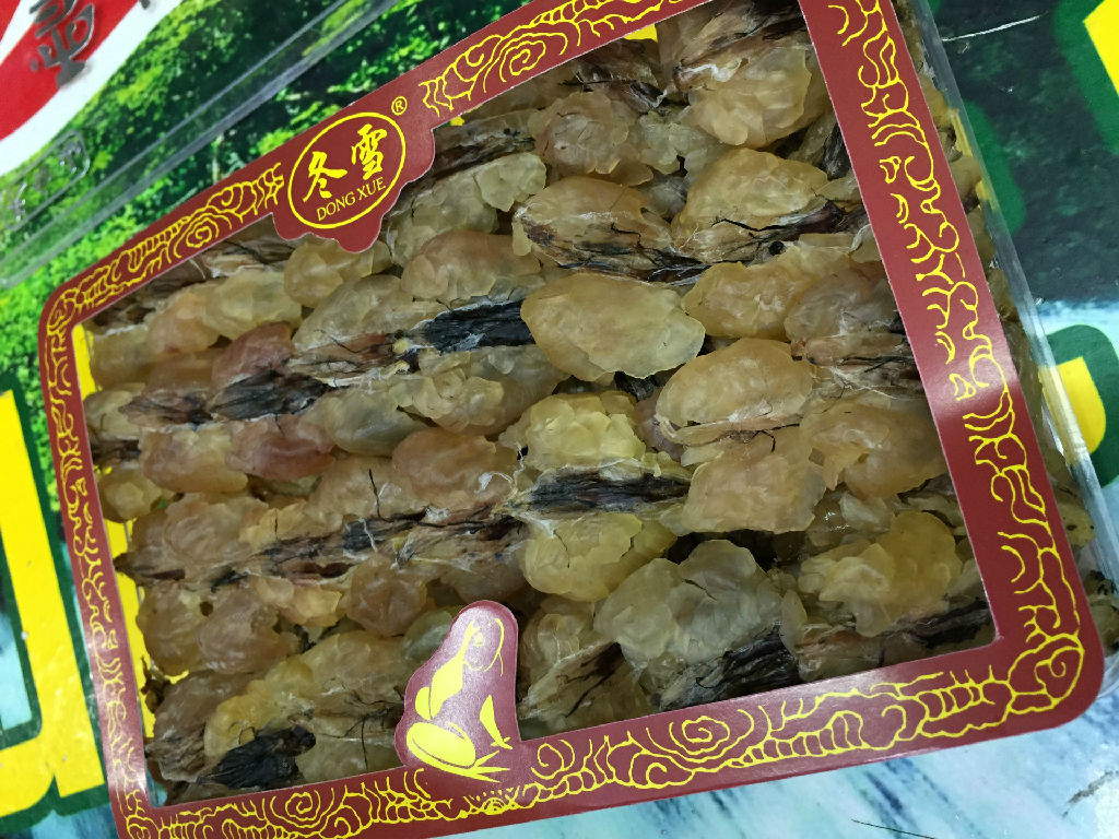 林蛙油泡蛤油蛙油林蛙油散装