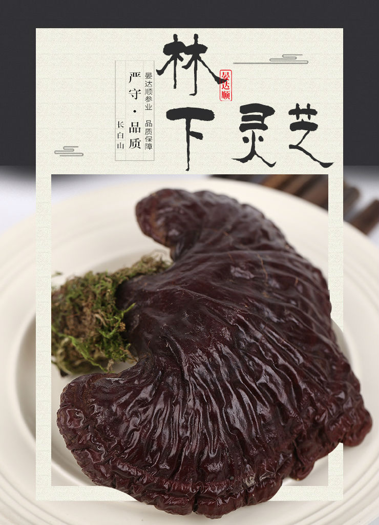 灵芝孩子能吃长白山灵芝生产供应商灵芝个品好