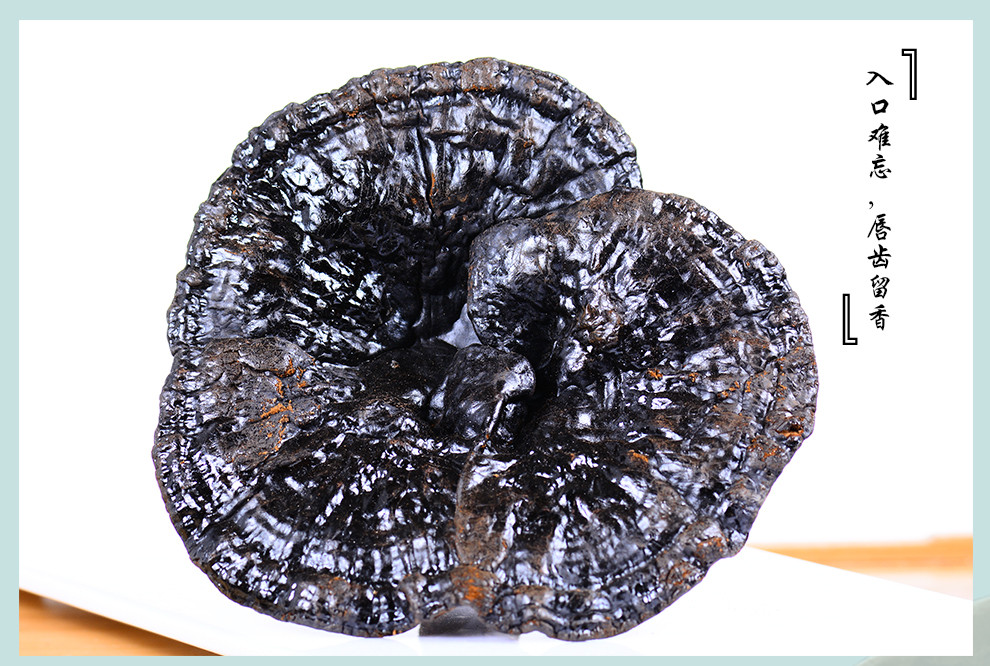 养生道生灵芝长白山灵芝片灵芝排行榜