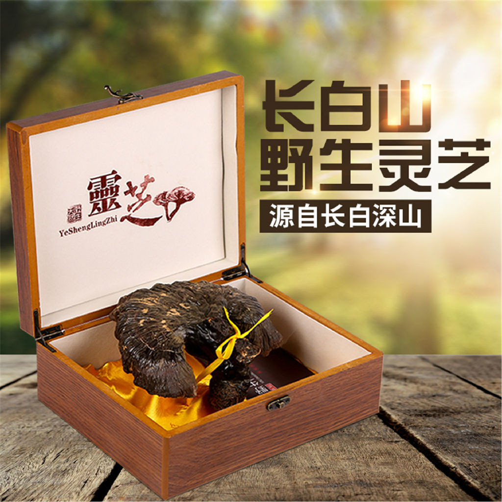 灵芝吃几次见效长白山灵芝生产供应商长期服用灵芝