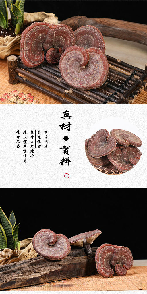 前后吃灵芝正宗长白山灵芝灵芝泡水要度